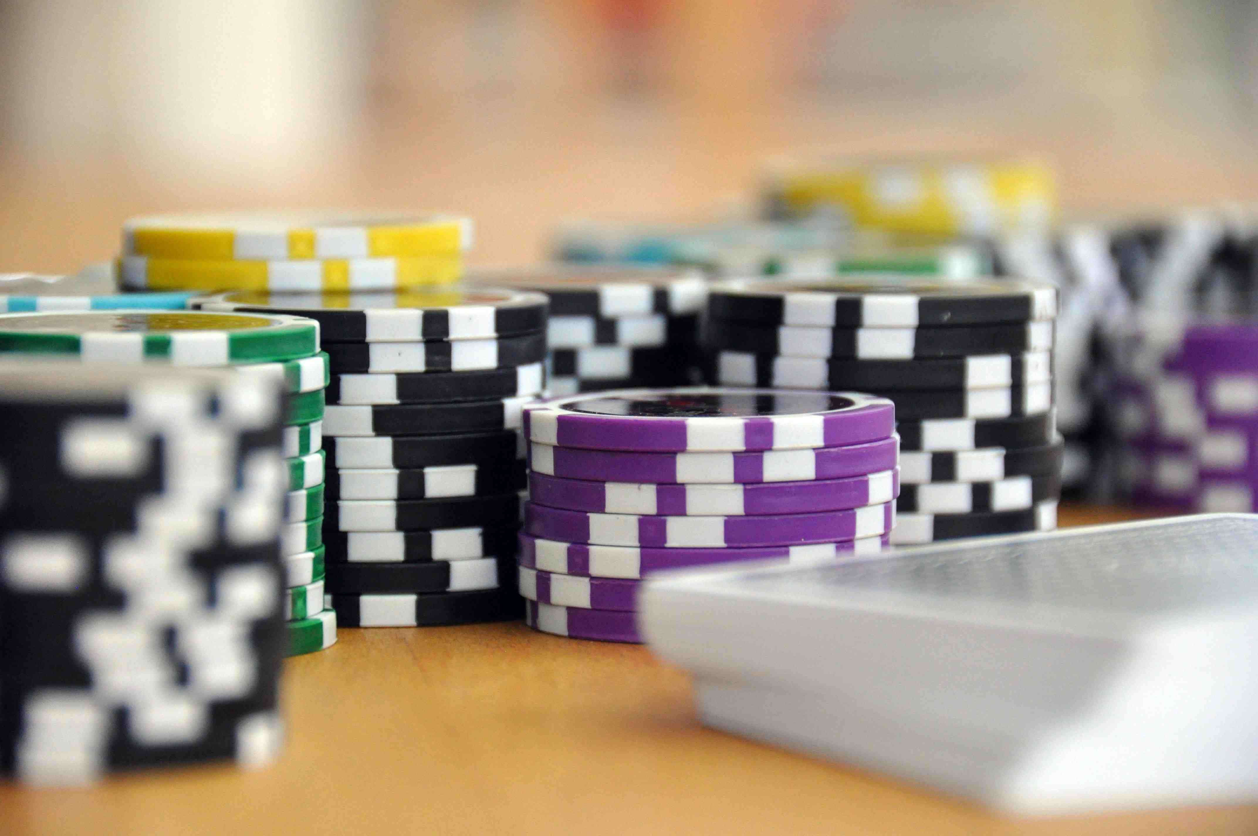 homobet88
