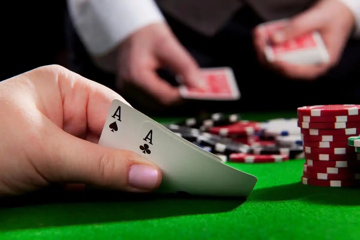 homobet88