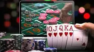 homobet88